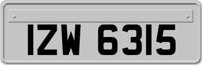 IZW6315