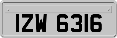 IZW6316