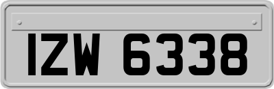 IZW6338