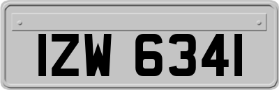 IZW6341