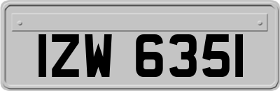IZW6351