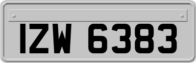 IZW6383