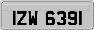 IZW6391