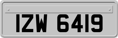 IZW6419