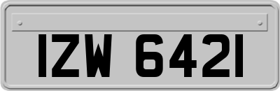 IZW6421