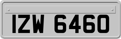 IZW6460