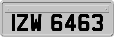 IZW6463