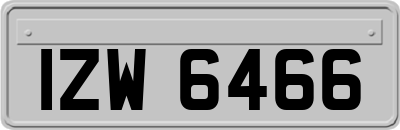 IZW6466