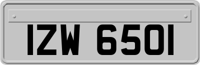 IZW6501