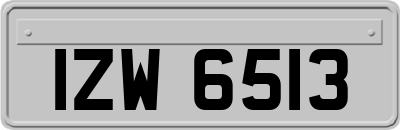 IZW6513