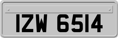IZW6514