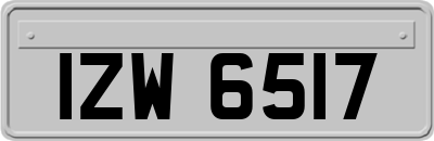 IZW6517