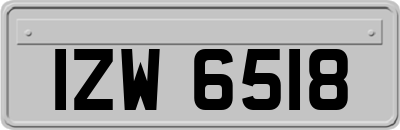 IZW6518