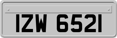 IZW6521
