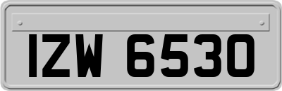 IZW6530