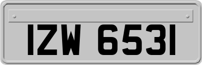 IZW6531