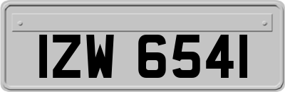 IZW6541