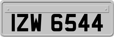 IZW6544