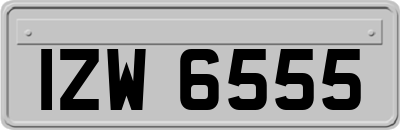 IZW6555