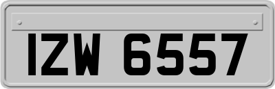 IZW6557