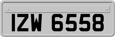 IZW6558