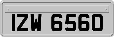 IZW6560