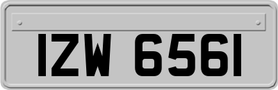 IZW6561