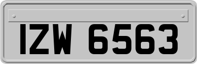 IZW6563