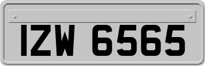IZW6565