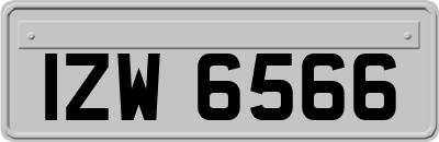 IZW6566