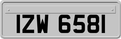 IZW6581
