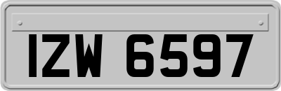 IZW6597