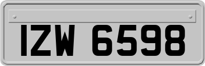 IZW6598