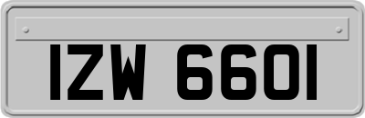 IZW6601