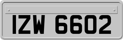 IZW6602