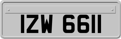IZW6611