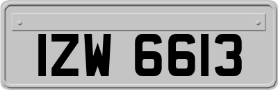 IZW6613