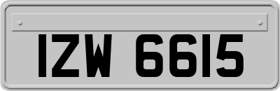 IZW6615