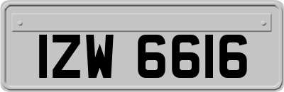 IZW6616