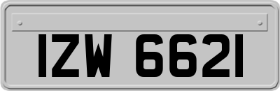 IZW6621