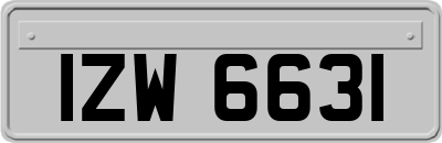 IZW6631