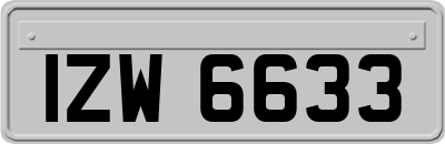 IZW6633