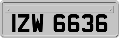 IZW6636