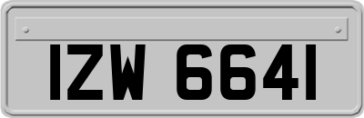 IZW6641