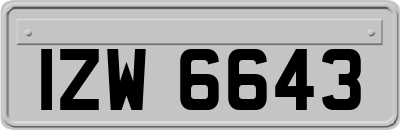 IZW6643