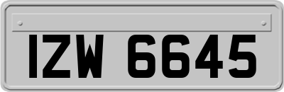 IZW6645