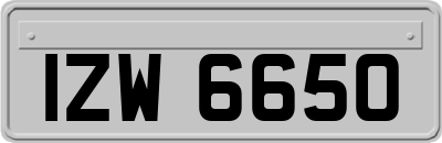 IZW6650