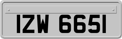 IZW6651
