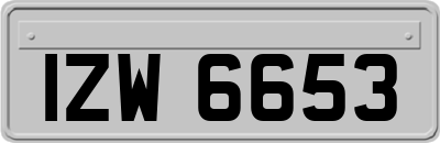 IZW6653