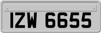 IZW6655